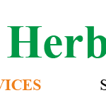 Everyday Herbal Beauty Care logo