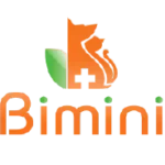Bimini LLC